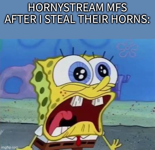 Spongebob crying/screaming | HORNYSTREAM MFS AFTER I STEAL THEIR HORNS: | image tagged in spongebob crying/screaming | made w/ Imgflip meme maker
