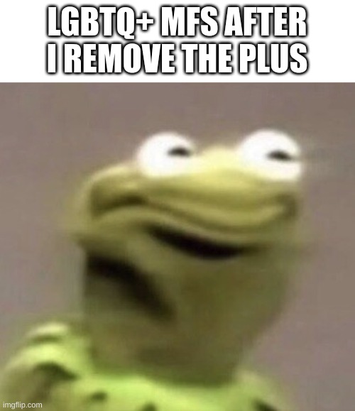 Kermit | LGBTQ+ MFS AFTER I REMOVE THE PLUS | image tagged in kermit | made w/ Imgflip meme maker