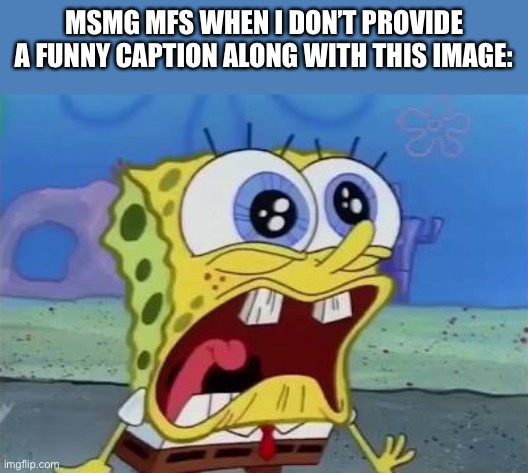 Spongebob crying/screaming | MSMG MFS WHEN I DON’T PROVIDE A FUNNY CAPTION ALONG WITH THIS IMAGE: | image tagged in spongebob crying/screaming | made w/ Imgflip meme maker