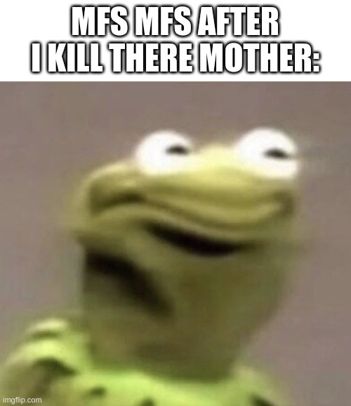 Kermit | MFS MFS AFTER I KILL THERE MOTHER: | image tagged in kermit | made w/ Imgflip meme maker