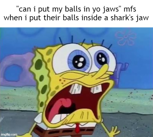 Spongebob crying/screaming | "can i put my balls in yo jaws" mfs when i put their balls inside a shark's jaw | image tagged in spongebob crying/screaming | made w/ Imgflip meme maker