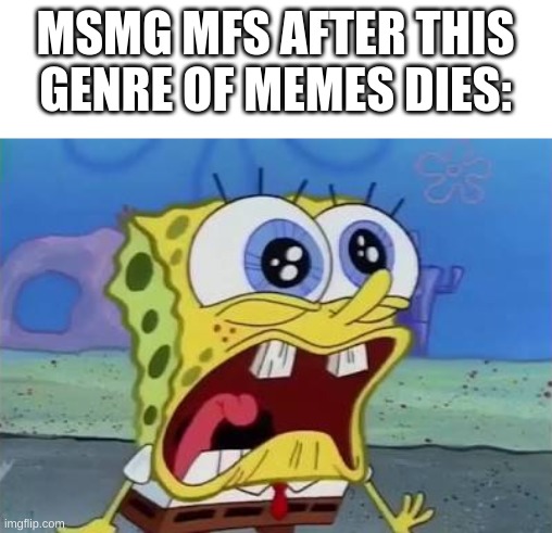 Spongebob crying/screaming | MSMG MFS AFTER THIS GENRE OF MEMES DIES: | image tagged in spongebob crying/screaming | made w/ Imgflip meme maker