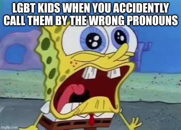 . | LGBT KIDS WHEN YOU ACCIDENTLY CALL THEM BY THE WRONG PRONOUNS | image tagged in spongebob crying/screaming | made w/ Imgflip meme maker
