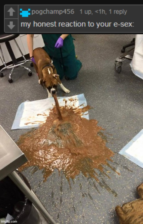 my honest reaction to your e-sex: Blank Meme Template