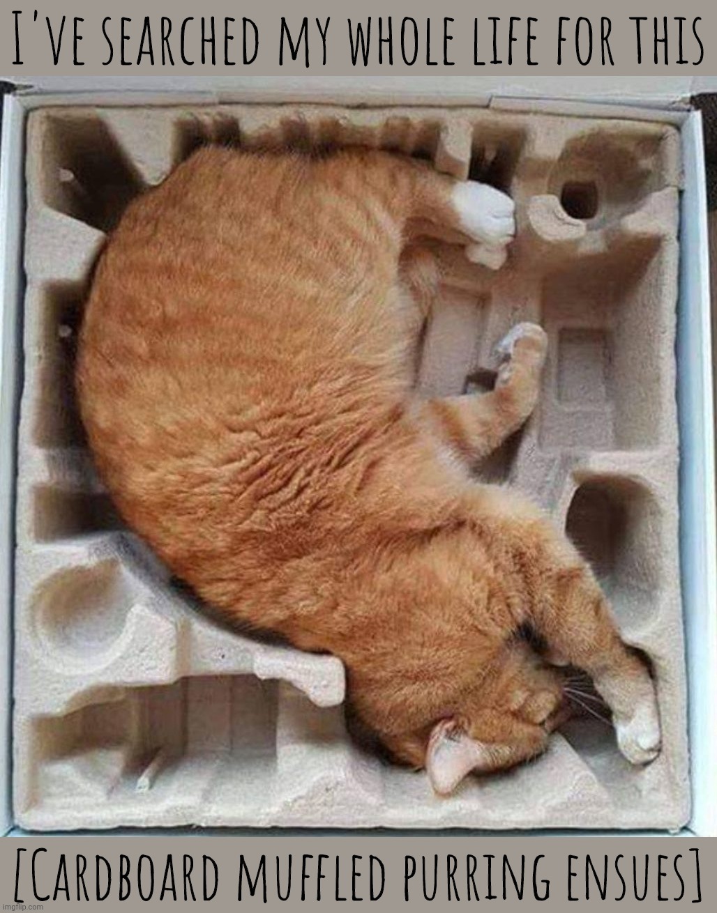If the box fits,,, | I've searched my whole life for this; [Cardboard muffled purring ensues] | image tagged in cat,inner box form fitting,schrodinger's cat,schrodinger's cat exposed,don't worry kitty is still alive,don't try this at home | made w/ Imgflip meme maker