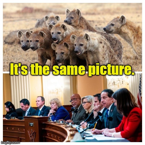 Leopards don't... Neither do Hyenas. | made w/ Imgflip meme maker
