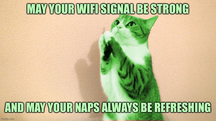 RayCat Blessings | MAY YOUR WIFI SIGNAL BE STRONG; AND MAY YOUR NAPS ALWAYS BE REFRESHING | image tagged in raycat pray,memes,raycat | made w/ Imgflip meme maker