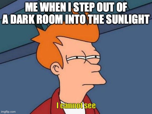 i feel like you go blind for 5 seconds | ME WHEN I STEP OUT OF A DARK ROOM INTO THE SUNLIGHT; I cannot see | image tagged in memes,futurama fry | made w/ Imgflip meme maker