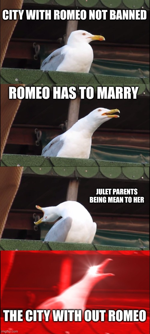 Inhaling Seagull Meme | CITY WITH ROMEO NOT BANNED; ROMEO HAS TO MARRY; JULET PARENTS BEING MEAN TO HER; THE CITY WITH OUT ROMEO | image tagged in memes,inhaling seagull | made w/ Imgflip meme maker