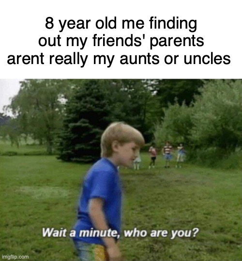 was anyone else brought up with the culture of calling any adult auntie or uncle | 8 year old me finding out my friends' parents arent really my aunts or uncles | image tagged in wait a minute who are you | made w/ Imgflip meme maker