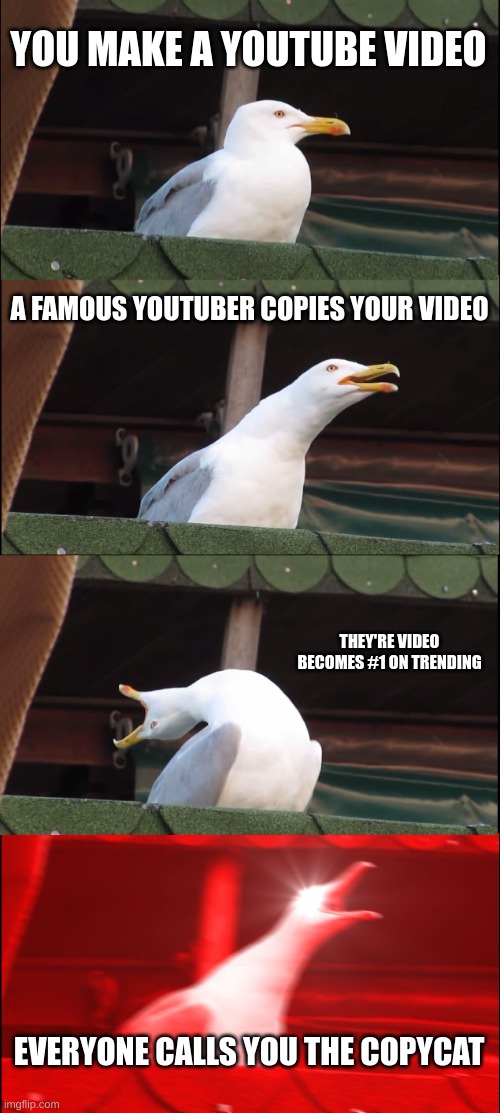 Why does this happen? | YOU MAKE A YOUTUBE VIDEO; A FAMOUS YOUTUBER COPIES YOUR VIDEO; THEY'RE VIDEO BECOMES #1 ON TRENDING; EVERYONE CALLS YOU THE COPYCAT | image tagged in memes,inhaling seagull | made w/ Imgflip meme maker