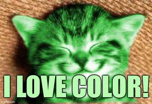 happy RayCat | I LOVE COLOR! | image tagged in happy raycat | made w/ Imgflip meme maker
