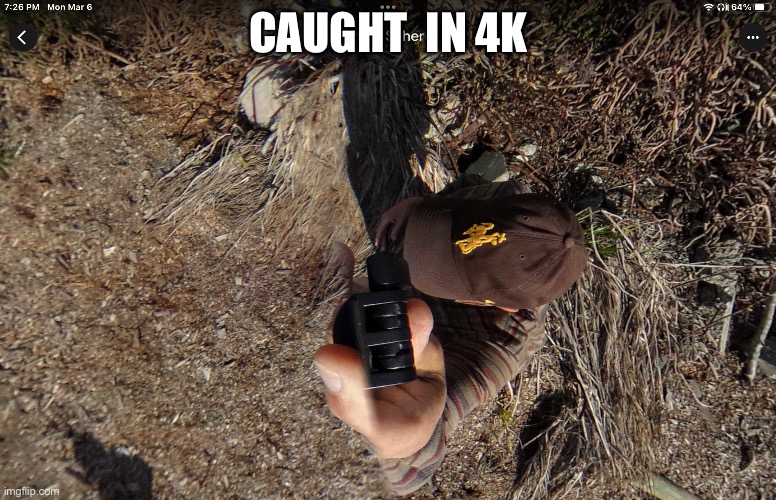 He just got caught | CAUGHT  IN 4K | image tagged in memes | made w/ Imgflip meme maker