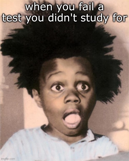 Suprised Buckwheat | when you fail a test you didn't study for | image tagged in suprised buckwheat | made w/ Imgflip meme maker