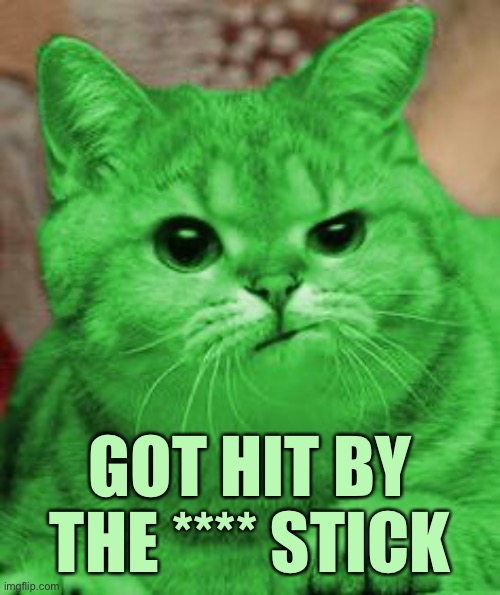 RayCat Annoyed | GOT HIT BY THE **** STICK | image tagged in raycat annoyed | made w/ Imgflip meme maker