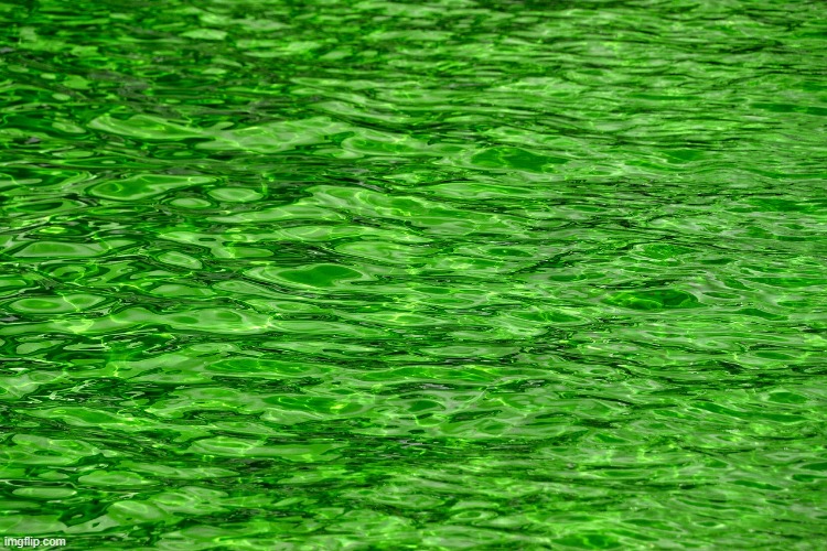 green water | image tagged in green water | made w/ Imgflip meme maker