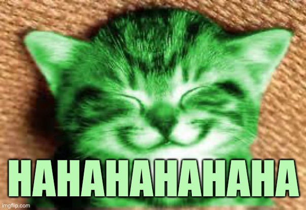 happy RayCat | HAHAHAHAHAHA | image tagged in happy raycat | made w/ Imgflip meme maker
