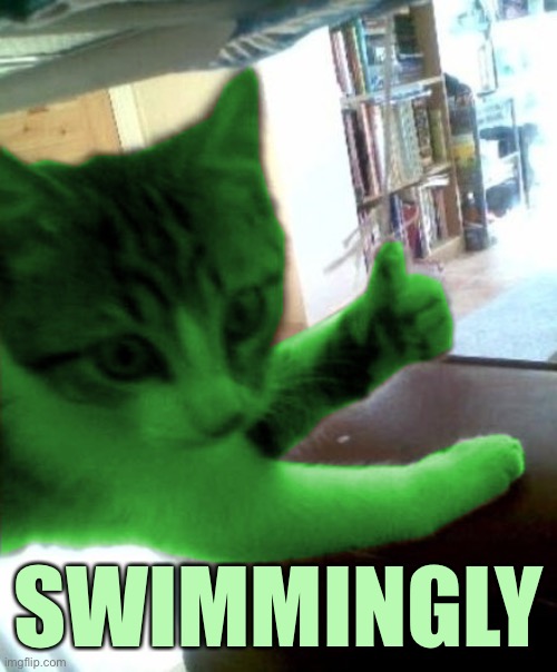 thumbs up RayCat | SWIMMINGLY | image tagged in thumbs up raycat | made w/ Imgflip meme maker