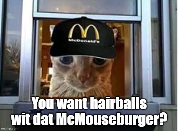 Mchairballs | You want hairballs wit dat McMouseburger? | image tagged in mcdonalds,cat,mouseburger | made w/ Imgflip meme maker