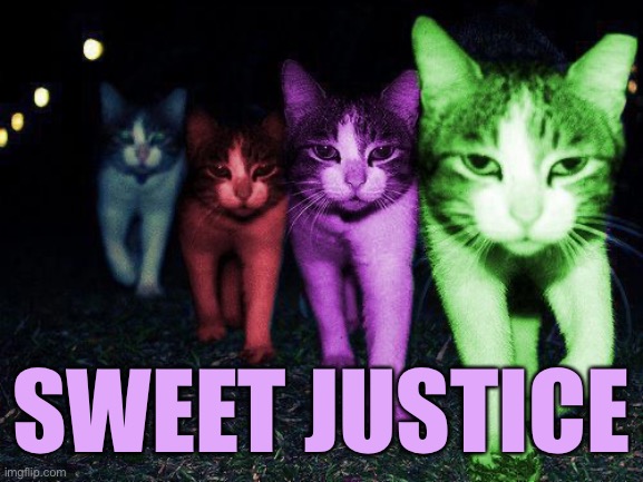 Wrong Neighborhood RayCats | SWEET JUSTICE | image tagged in wrong neighborhood raycats | made w/ Imgflip meme maker