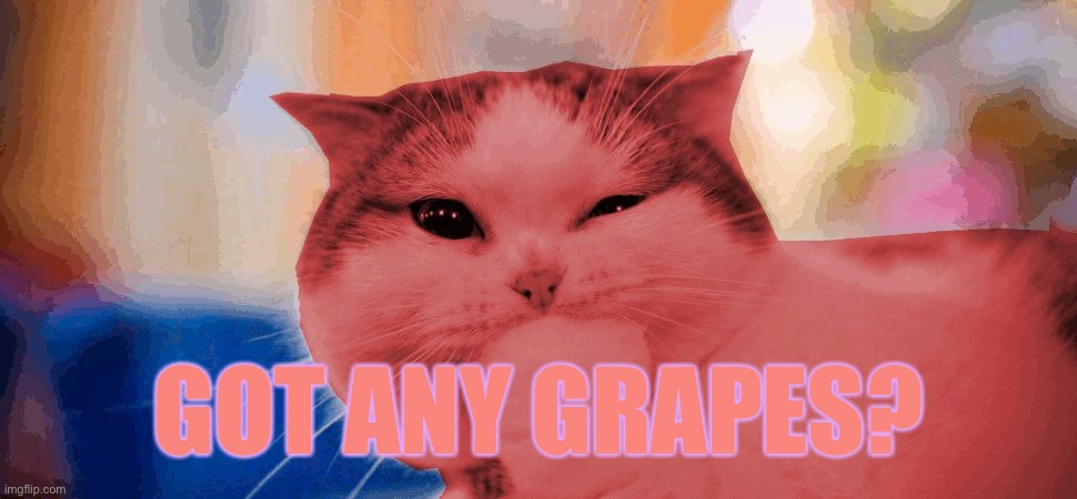 RayCat laughing | GOT ANY GRAPES? | image tagged in raycat laughing | made w/ Imgflip meme maker