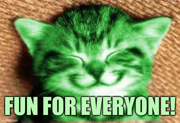 happy RayCat | FUN FOR EVERYONE! | image tagged in happy raycat | made w/ Imgflip meme maker