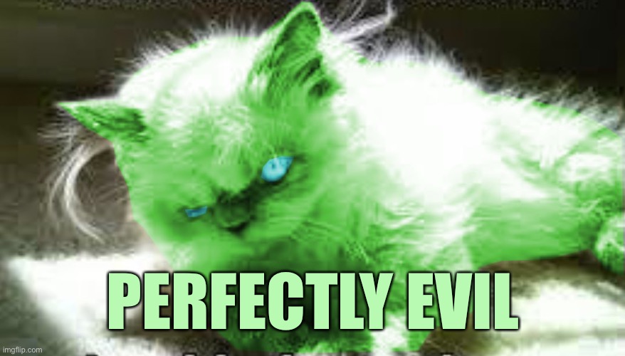 mad raycat | PERFECTLY EVIL | image tagged in mad raycat | made w/ Imgflip meme maker