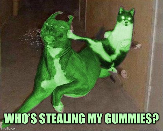 RayCat kicking RayDog | WHO’S STEALING MY GUMMIES? | image tagged in raycat kicking raydog | made w/ Imgflip meme maker