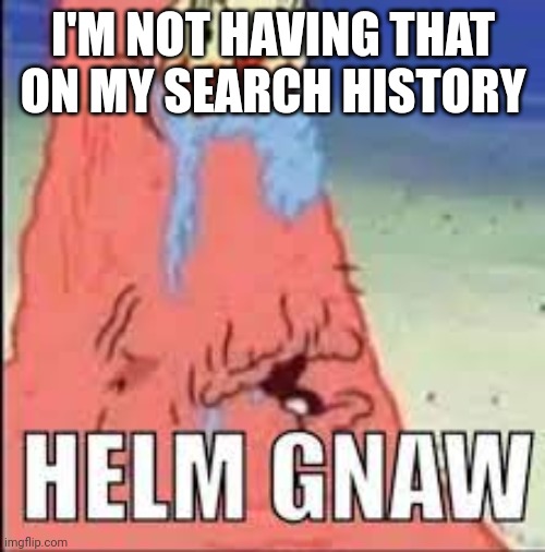HELM GNAW | I'M NOT HAVING THAT ON MY SEARCH HISTORY | image tagged in helm gnaw | made w/ Imgflip meme maker