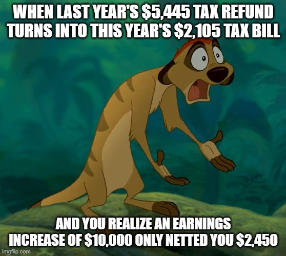 Economy woes | WHEN LAST YEAR'S $5,445 TAX REFUND TURNS INTO THIS YEAR'S $2,105 TAX BILL; AND YOU REALIZE AN EARNINGS INCREASE OF $10,000 ONLY NETTED YOU $2,450 | image tagged in baffled timon | made w/ Imgflip meme maker