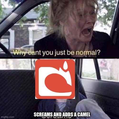 Why Can't You Just Be Normal | SCREAMS AND ADDS A CAMEL | image tagged in why can't you just be normal | made w/ Imgflip meme maker