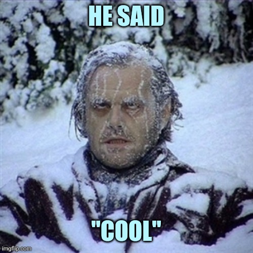 Frozen Guy | HE SAID "COOL" | image tagged in frozen guy | made w/ Imgflip meme maker