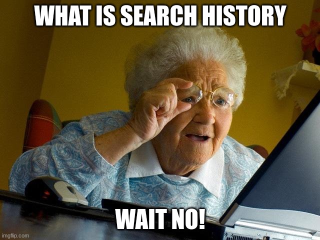 Grandma Finds The Internet | WHAT IS SEARCH HISTORY; WAIT NO! | image tagged in memes,grandma finds the internet | made w/ Imgflip meme maker