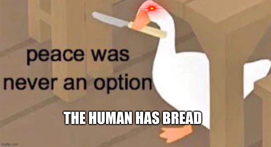 Untitled Goose Peace Was Never an Option | THE HUMAN HAS BREAD | image tagged in untitled goose peace was never an option | made w/ Imgflip meme maker