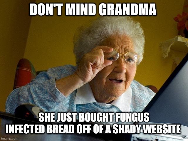 Don't buy suspicious bread off of the internet | DON'T MIND GRANDMA; SHE JUST BOUGHT FUNGUS INFECTED BREAD OFF OF A SHADY WEBSITE | image tagged in memes,grandma finds the internet | made w/ Imgflip meme maker