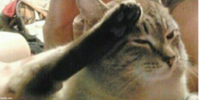 Saluting Cat Blank Meme Template