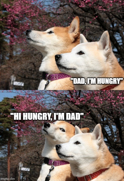 Every dad ever | "DAD, I'M HUNGRY"; "HI HUNGRY, I'M DAD" | image tagged in bad pun dogs,i'm hungry,dad joke dog,dad joke | made w/ Imgflip meme maker