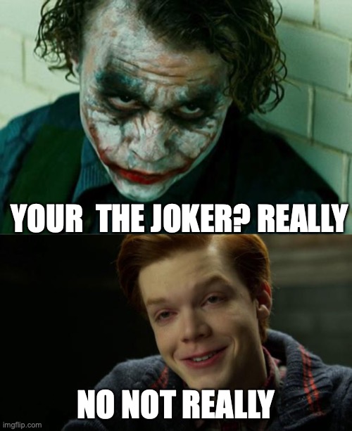 HE'S NOT THE JOKER AHHHHHHHH | YOUR  THE JOKER? REALLY; NO NOT REALLY | image tagged in the joker really,jerome joker gotham | made w/ Imgflip meme maker