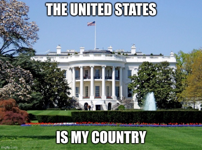 White House | THE UNITED STATES; IS MY COUNTRY | image tagged in white house,funny,fun,memes,the white house | made w/ Imgflip meme maker