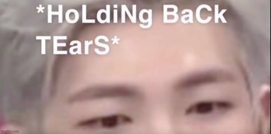 *hOlDInG bAcK teARs* | image tagged in holding back tears | made w/ Imgflip meme maker