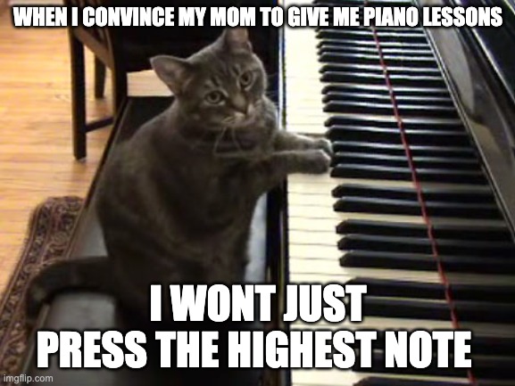 cat piano | WHEN I CONVINCE MY MOM TO GIVE ME PIANO LESSONS; I WONT JUST PRESS THE HIGHEST NOTE | image tagged in cat piano | made w/ Imgflip meme maker