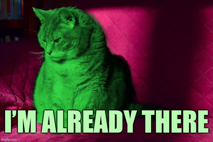 Cantankerous RayCat | I’M ALREADY THERE | image tagged in cantankerous raycat | made w/ Imgflip meme maker