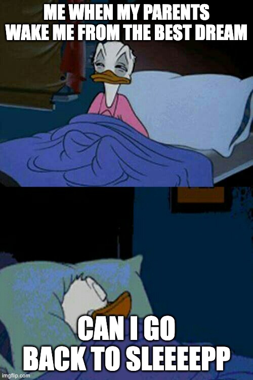 sleepy donald duck in bed | ME WHEN MY PARENTS WAKE ME FROM THE BEST DREAM; CAN I GO BACK TO SLEEEEPP | image tagged in sleepy donald duck in bed | made w/ Imgflip meme maker