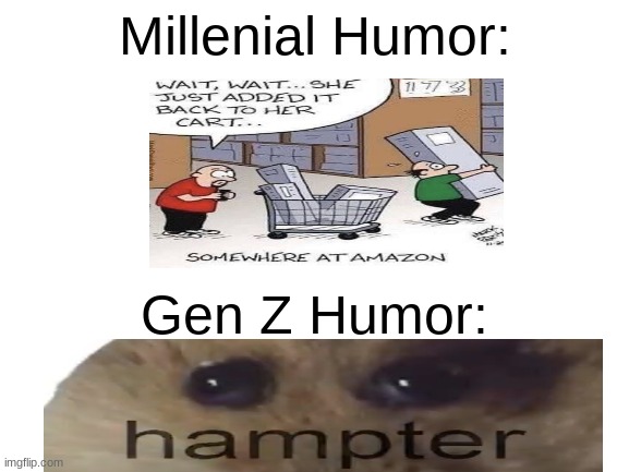 Average meme | Millenial Humor:; Gen Z Humor: | image tagged in blank white template | made w/ Imgflip meme maker