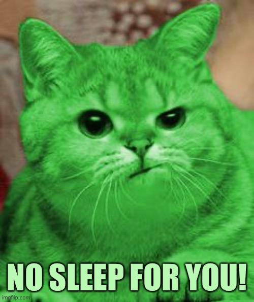 RayCat Annoyed | NO SLEEP FOR YOU! | image tagged in raycat annoyed | made w/ Imgflip meme maker