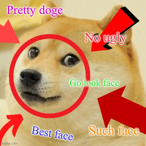 Very Face | Pretty doge; No ugly; Go look face; Such face; Best face | image tagged in doge,face,arrow | made w/ Imgflip meme maker