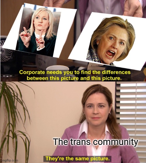 Mrs. Clinton has come out as a TERF. | The trans community | image tagged in memes,they're the same picture,transphobic,lgbt | made w/ Imgflip meme maker