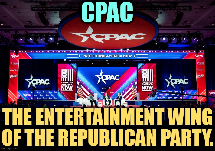 Nothing serious except schlapping Matt Schlapp's hand away. | CPAC; THE ENTERTAINMENT WING OF THE REPUBLICAN PARTY. | image tagged in cpac,entertainment,republican party,silly,empty | made w/ Imgflip meme maker