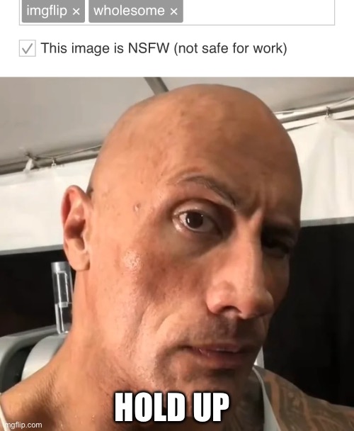  HOLD UP | image tagged in hold up,the rock eyebrows,conflicted | made w/ Imgflip meme maker