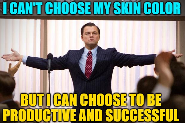 wolf of wallstreet | I CAN'T CHOOSE MY SKIN COLOR BUT I CAN CHOOSE TO BE PRODUCTIVE AND SUCCESSFUL | image tagged in wolf of wallstreet | made w/ Imgflip meme maker